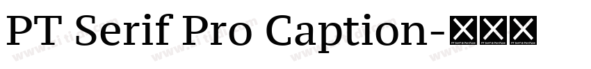 PT Serif Pro Caption字体转换